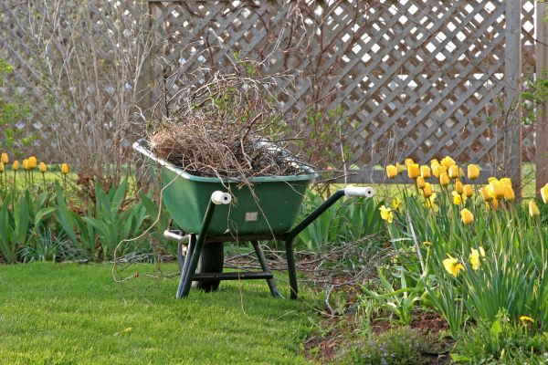 Flower Bed Cleanup Service in Oxnard