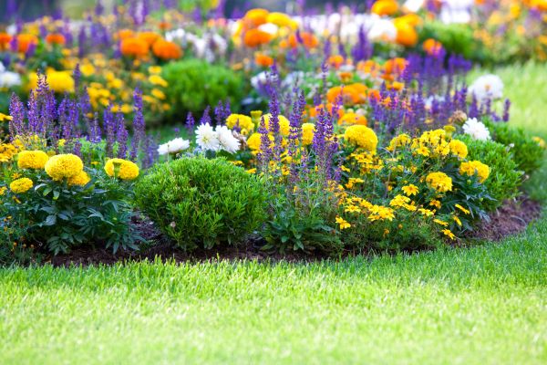 Flower Bed Maintenance in Oxnard