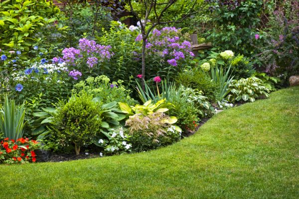 Flower Bed Service in Oxnard