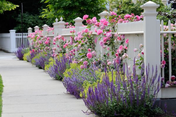 Garden Handyman Service in Oxnard