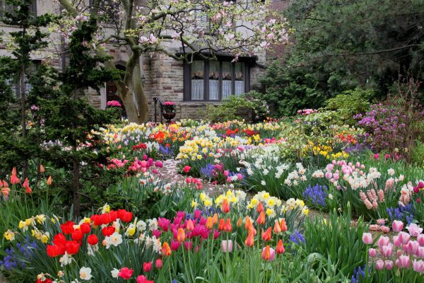 Garden Maintenance Service in Oxnard