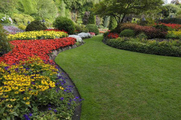 Landscaping Maintenance in Oxnard
