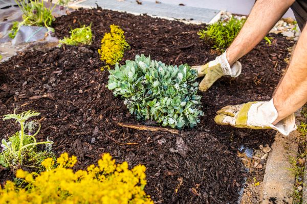 Weeding And Mulching in Oxnard