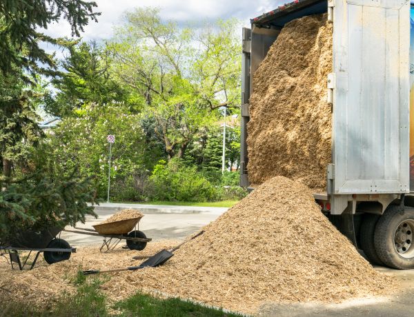Wood Chips Delivery in Oxnard