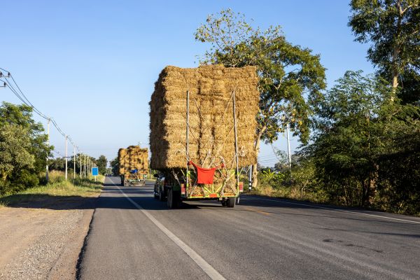 Pine Straw Delivery in Oxnard