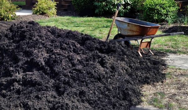 Black Mulch Delivery in Oxnard