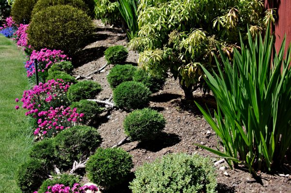 Residential Gardening in Oxnard