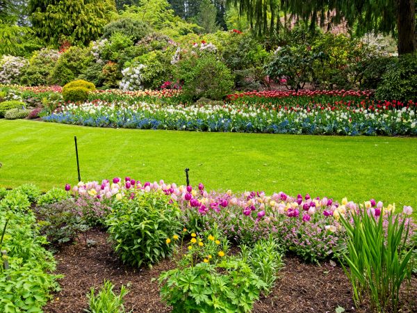 Residential Landscape Design in Oxnard