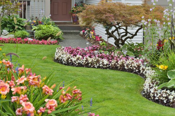 Perennial Landscaping in Oxnard