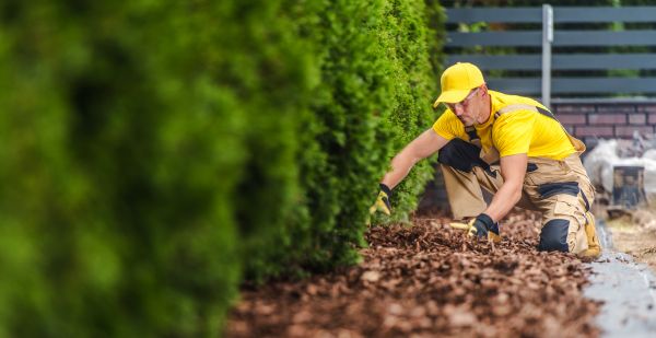Cypress Mulch Installation in Oxnard