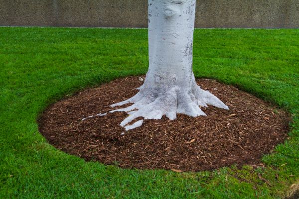 Brown Mulch Installation in Oxnard