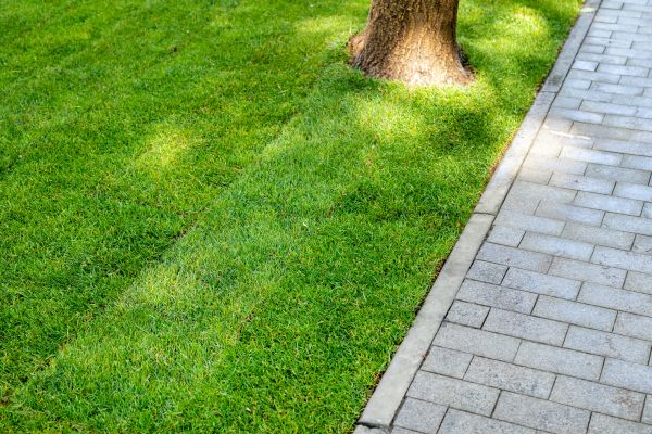 Border Stone Installation in Oxnard