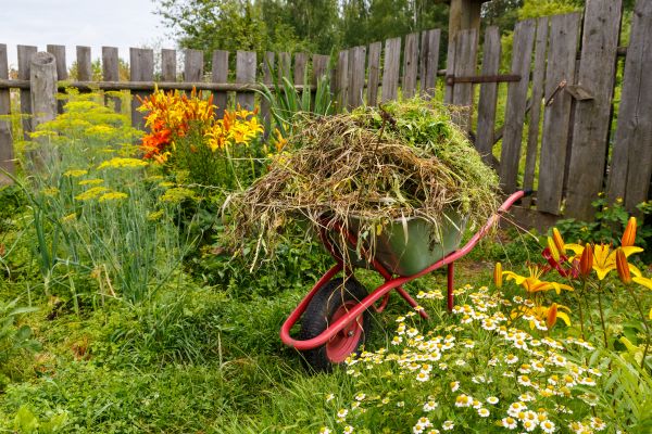 Garden Cleanup Service in Oxnard