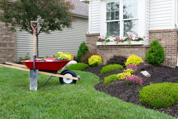 Tree And Shrub Planting in Oxnard