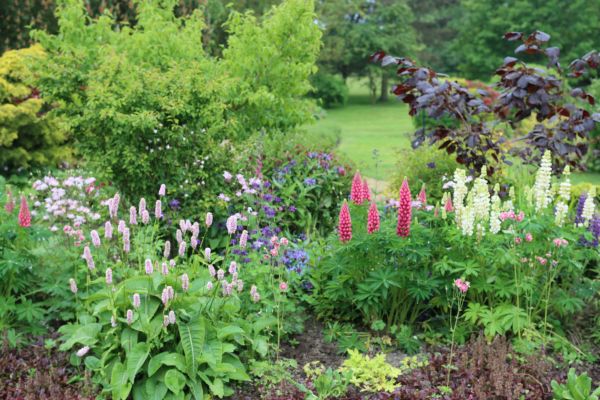 Flower Bed Planting in Oxnard
