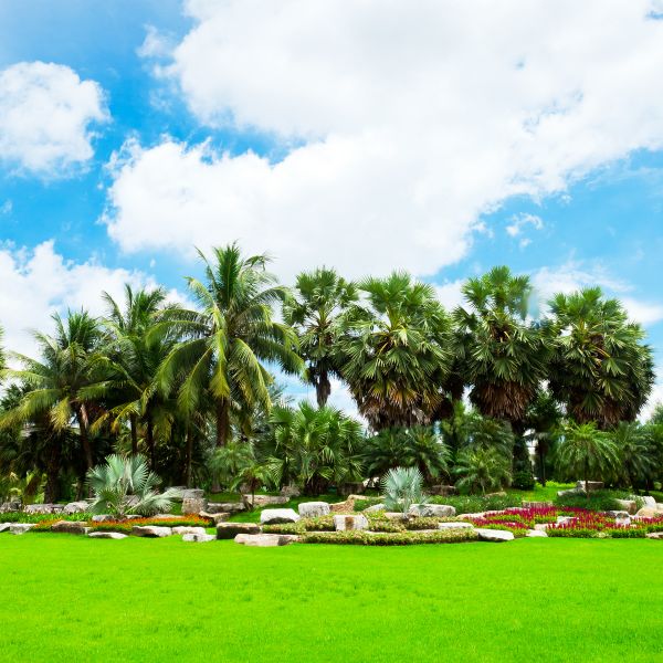 Tropical Landscaping in Oxnard