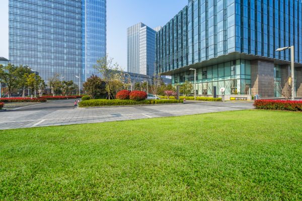 Industrial Landscaping Service in Oxnard