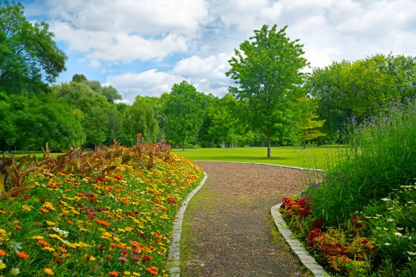 Park Landscaping in Oxnard