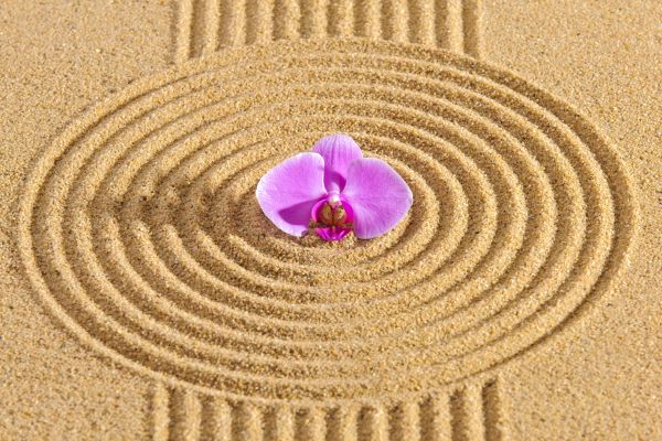 Sand Garden Landscaping in Oxnard