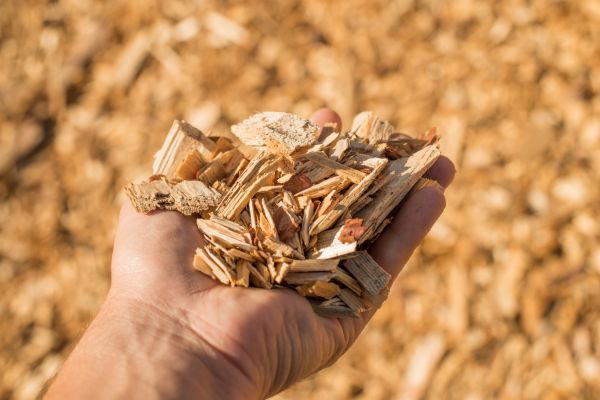 Wood Chips Spreading in Oxnard