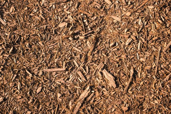 Wood Chips Removal in Oxnard