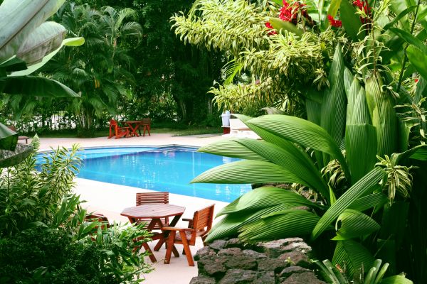 Pool Area Landscaping in Oxnard