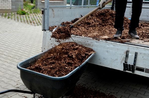 Playground Mulch Delivery in Oxnard