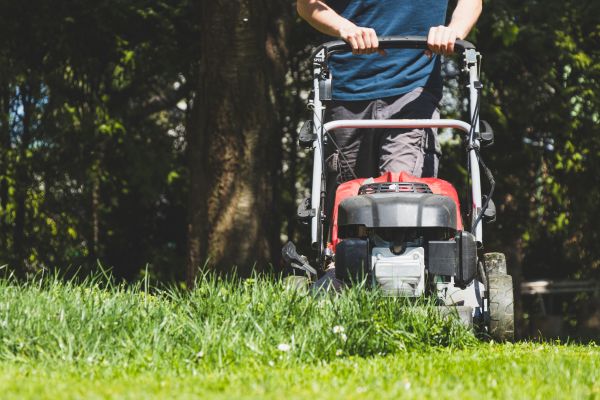 Garden Trimming Service in Oxnard