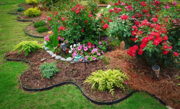 Floral Landscaping in Oxnard
