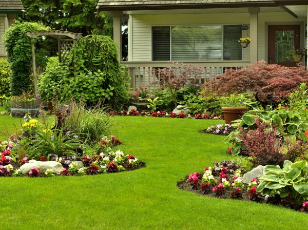 Flower Garden Planting in Oxnard