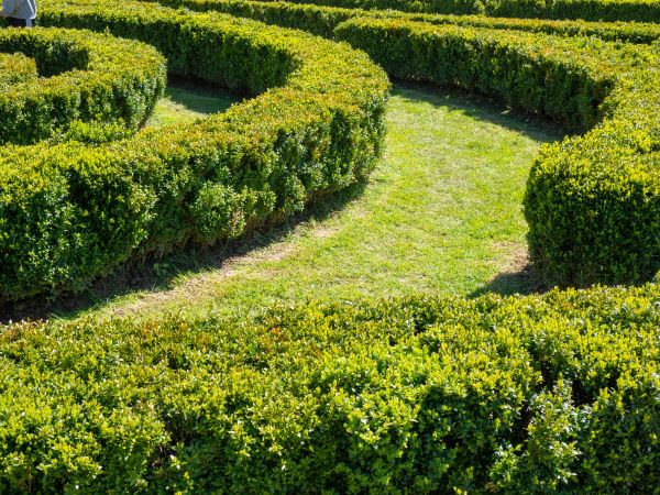 Bush Landscaping in Oxnard