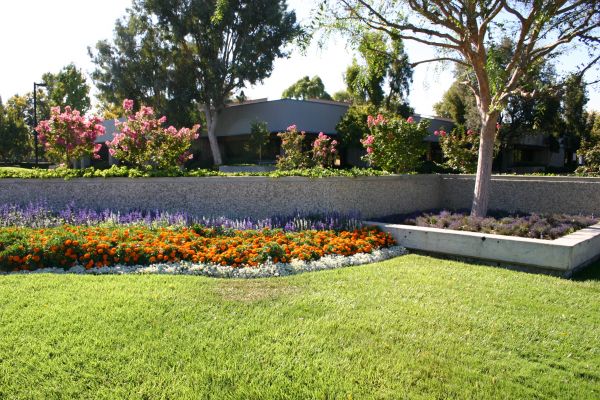 Commercial Landscape Service in Oxnard
