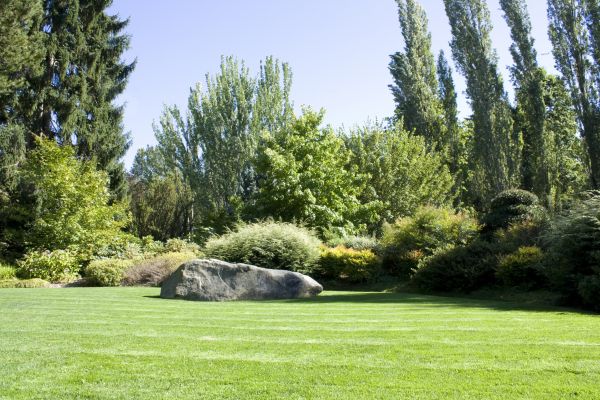 Yard Enlargement in Oxnard