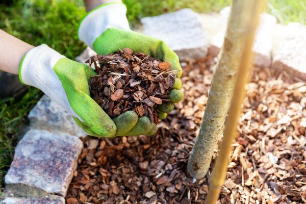 Tree Bark Delivery in Oxnard
