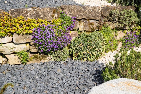 Landscaping Rocks Installation in Oxnard