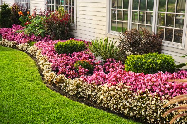 Garden Landscape Design in Oxnard