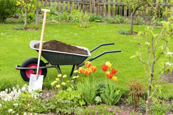 Spring Yard Renovation in Oxnard