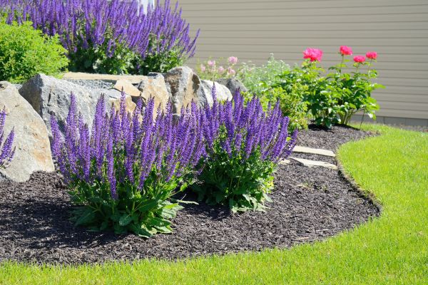 Landscape Planting Service in Oxnard