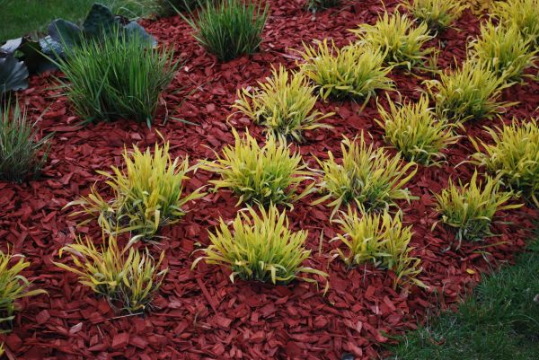 Red Mulch Installation in Oxnard