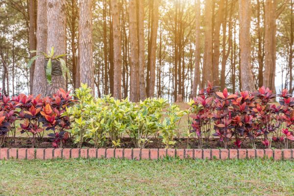 Small Garden Landscaping in Oxnard