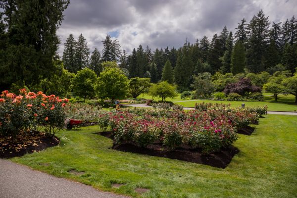Flower Garden Landscaping in Oxnard