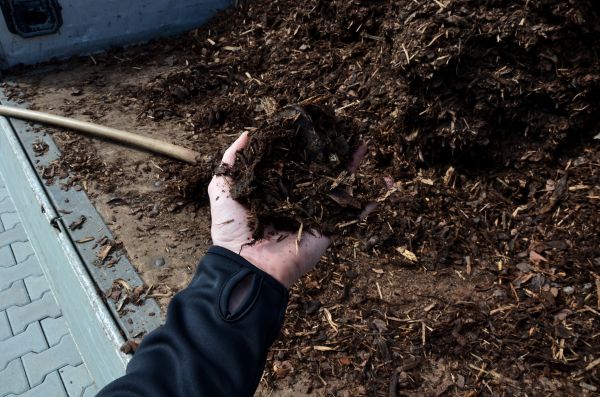 Condo Mulching in Oxnard