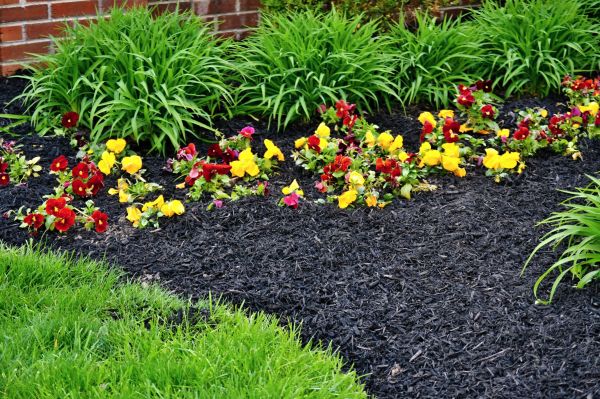Apartment Mulching in Oxnard