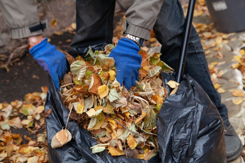 Leaf Cleanup at Dusk