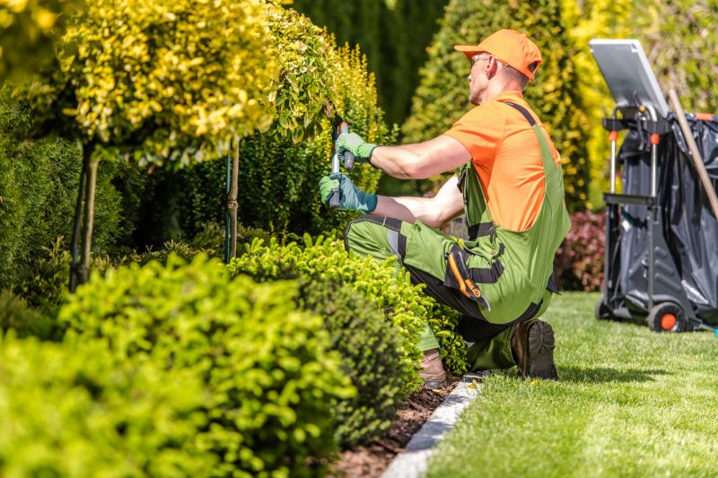 Tree and Shrub Care